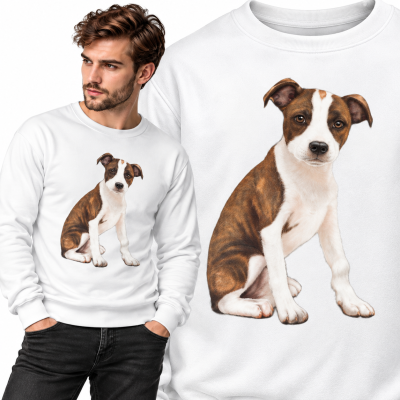BLUZA  ZWIERZĘTA BOSTON DOG 9
